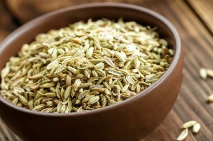 The Comprehensive Guide to the Benefits of Fennel Seed Supplements
